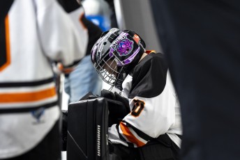 U10 Hockey - Rome Grizzles vs. Lysander Lightning