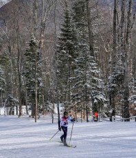 Cross Country Skiing