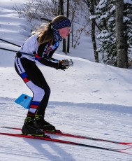 Cross Country Skiing