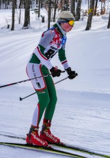 Cross Country Skiing