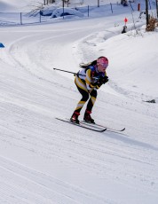 Cross Country Skiing