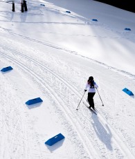 Cross Country Skiing