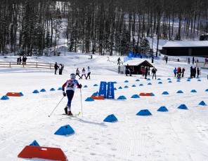 Cross Country Skiing