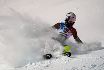 Slalom