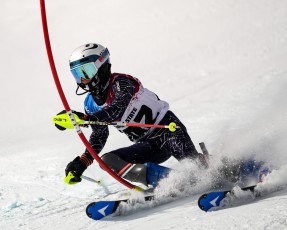 Slalom