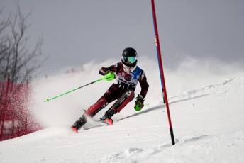 Slalom