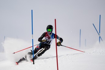 Slalom