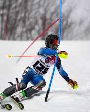 Slalom