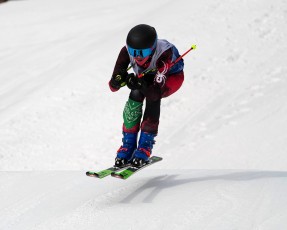 Ski Cross - ESWG