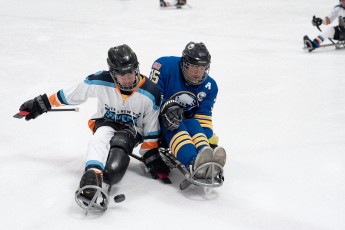 Buffalo Sabre Sled Vets vs. CNY Flyers