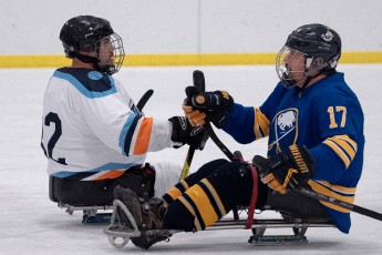 Buffalo Sabre Sled Vets vs. CNY Flyers