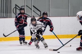 Canton Blades vs Saugerties Fillies - Gold Medal Game