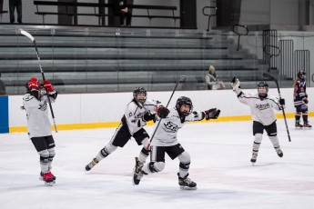 Canton Blades vs Saugerties Fillies - Gold Medal Game