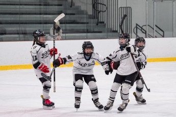 Canton Blades vs Saugerties Fillies - Gold Medal Game