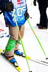 Ski Cross