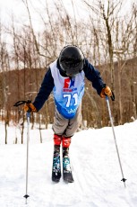 Alpine Slalom