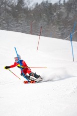 Alpine Slalom