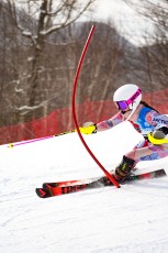 Alpine Slalom