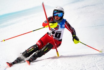 Alpine Slalom
