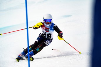 Alpine Slalom