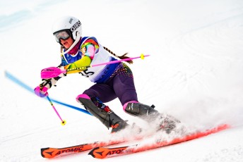 Alpine Slalom