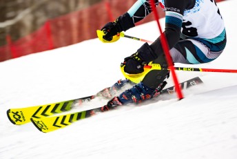 Alpine Slalom