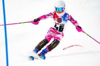 Alpine Slalom