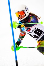 Alpine Slalom