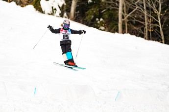 Alpine Slalom