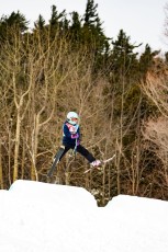Alpine Slalom