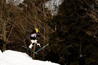Alpine Slalom