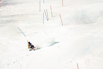 Alpine Slalom