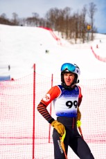 Alpine Slalom