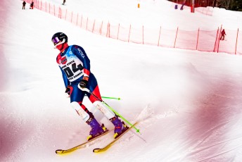 Alpine Slalom