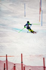 Alpine Slalom