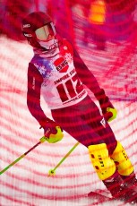 Alpine Slalom