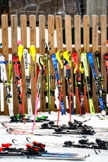 Alpine Slalom