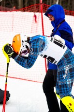Alpine Slalom