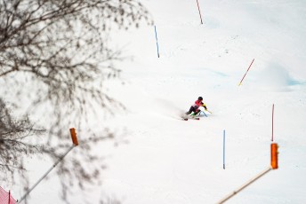 Alpine Slalom