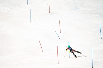 Alpine Slalom