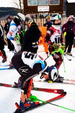 Alpine Slalom