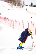 Alpine Slalom