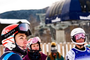 Alpine Slalom