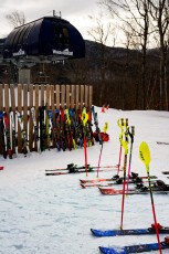 Alpine Slalom