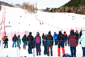 Alpine Slalom