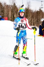 Alpine Slalom