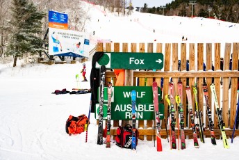 Alpine Slalom